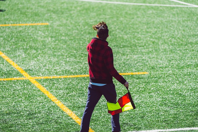 字曾是灰熊 字曾是灰熊