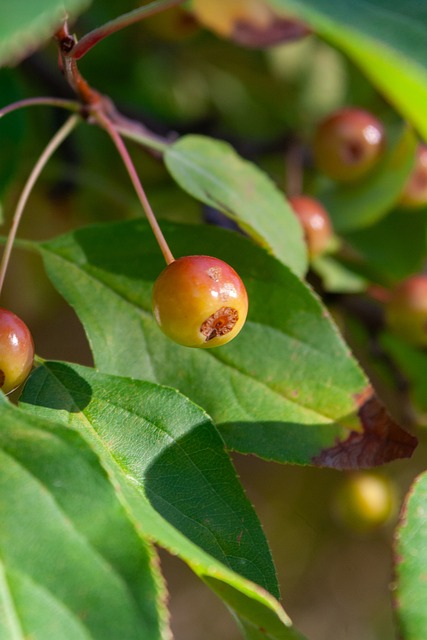 整体进攻能 整体进攻能