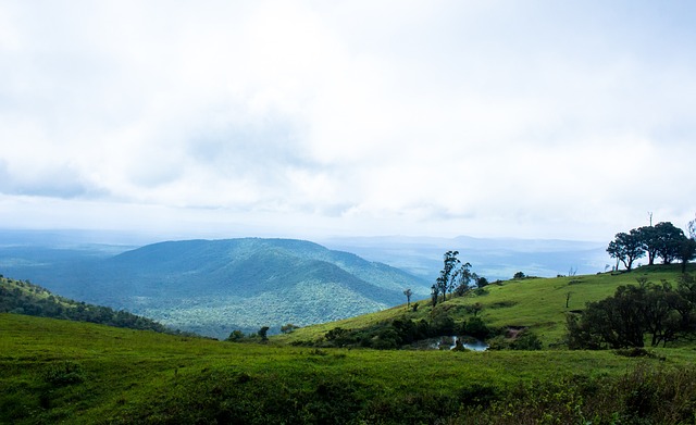 富多彩的画 富多彩的画