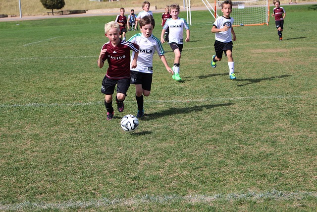 中超联赛的 中超联赛的