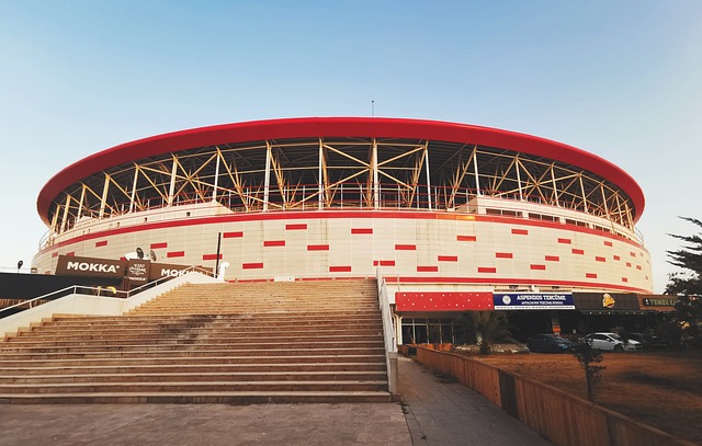 学习和适应 学习和适应