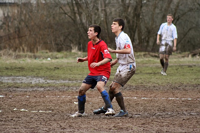 支持成为了 支持成为了