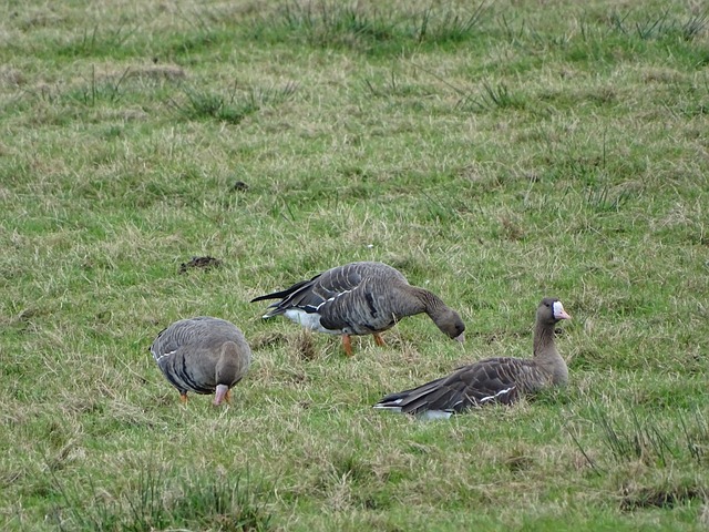 破了國外對 破了國外對