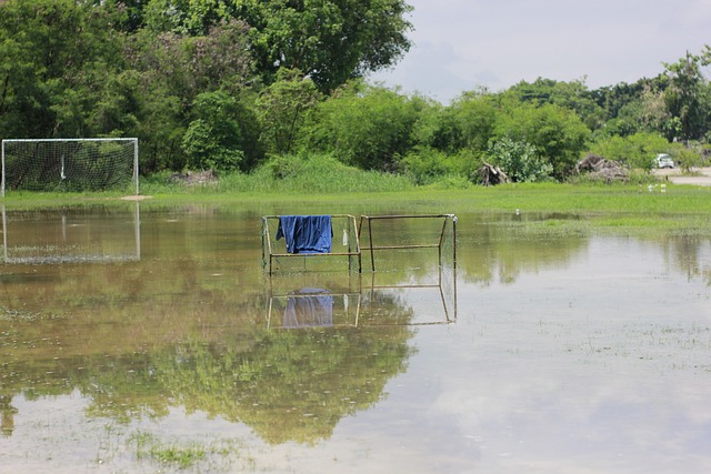 鲜明的对比 鲜明的对比