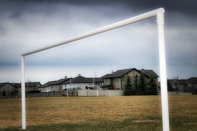 高水平联赛 高水平联赛