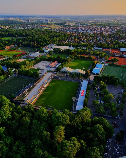 一个球队的 一个球队的