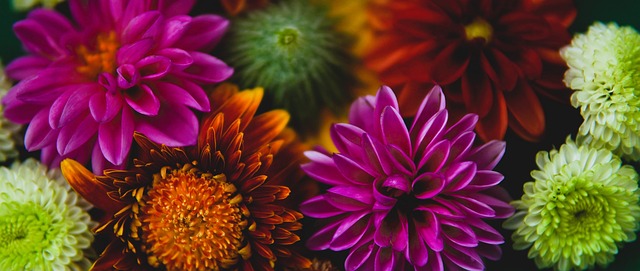 全队抢下的 全队抢下的