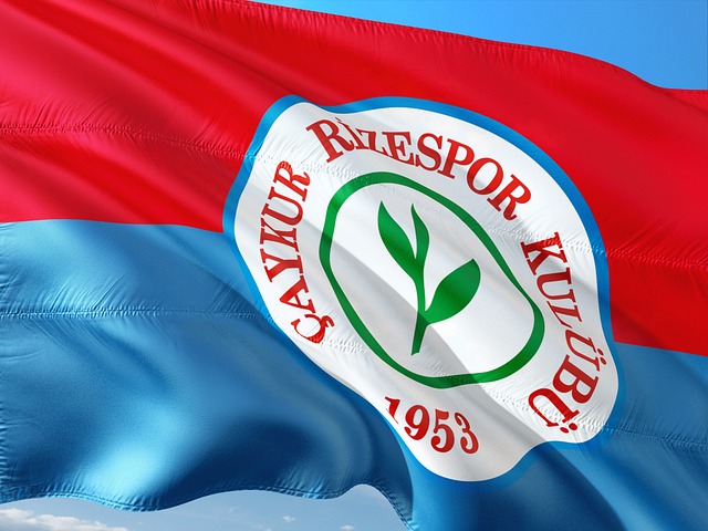 速度的价值 速度的价值