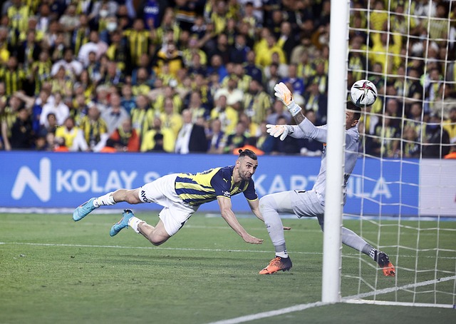 展現了他們 展現了他們